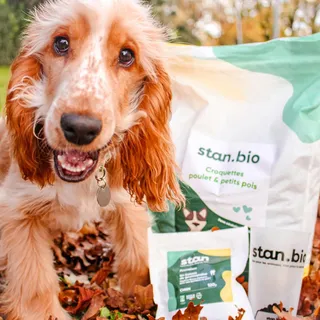 🥘🥩 STAN BIO 🥩🥘 

🐶 Notre gourmandise quotidienne : les croquettes & friandises @stan.bio 😍

👉🏼 Fabriquées en France, de l’atelier à la gamelle 🍽 

🌾 Sans céréales, pour une nutrition adaptée à leur na