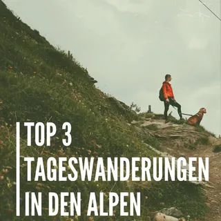 Auf der Suche nach der nächsten Tagestour? 🥾⛰️

Wir zeigen dir 3 unvergessliche Tageswanderungen in den Alpen – perfekt für alle, die Höhenluft, Ausblicke und Natur lieben.

Ob gemütlich oder anspruch