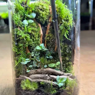 How to make a putty forest wall