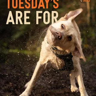 Tuesdays are for…

Failed photos by the looks of it! 🤪

Behind all the perfectly posed photos and beautiful photogenic dogs are moments and accidental photos like these 📸 

So next time you’re questio