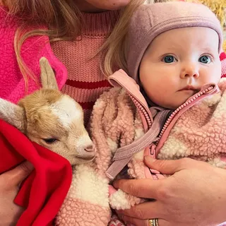 The cutest bundle! 🐐 👶🏼 @pennywellfarm @miniboden @boden 🌸 #pennywellfarm #miniboden #boden #spring #easter