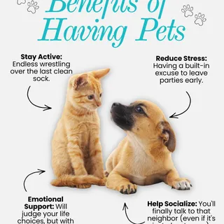 It’s National Pet Day! 🐾

Let’s be honest: they own the couch, they own the schedule, and they definitely own our hearts. Today we celebrate the "benefits" of pet ownership—from the 3 AM zoomies to th