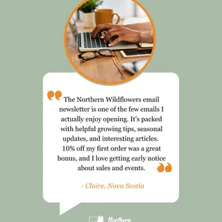 Don't take our word for it, hear it from our customers. Our monthly email newsletter is a crowd favourite. 

The first day of spring is coming up, and rumour has it there may be something extra specia