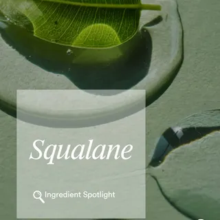 Squalene provides lightweight hydration without supplying the yeast with what it needs to thrive. That makes it one of the rare oils that supports the skin barrier without contributing to flare-ups. S