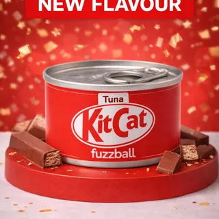 Because your cats deserve a break too.