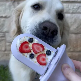 groov keeps them occupied, soothes anxiety, and turns crate haters into crate lovers 👅