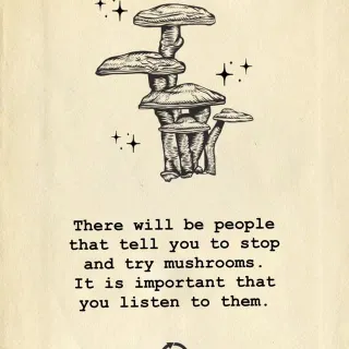 Great advice. 🍄😇

#mushrooms #goodadvice #functionalmushrooms #reishi