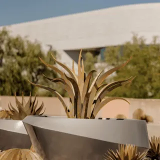 Desert design, done right. This Tempe, AZ project brings together clean lines, layered textures, and statement pieces that hold their own in the landscape. From agaves to cacti, every detail was chose