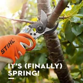 As we welcome spring and watch nature come alive this March, your list of outdoor tasks is surely growing. 🌸

If your backyard is lucky enough to host an apple, oak, hawthorn, fig, or birch tree, here