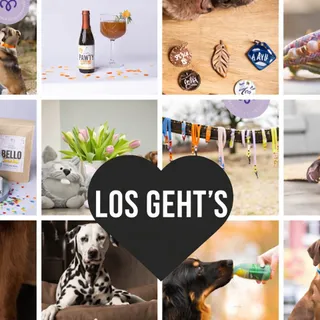 Es geht los - und dieses Jahr erwartet euch in euren Bestellungen ab einem Bestellwert von 29€ eine tolle Überraschung von einem unserer Partner:

@trixie.heimtierbedarf 
@wolterscatanddog 
@knuffelwu
