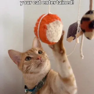 Easy DIY cat enrichment 🐱✨
All you need is a toy, some string, and a table — instant entertainment for your kitty! Watch them jump, chase, and play for ages.