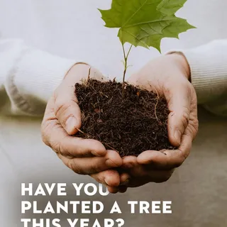 On this International Forest Day, we invite our global community to take part and make their own impact because one small, thoughtful action today can shape a brighter tomorrow. 🌱​

Planting a single 