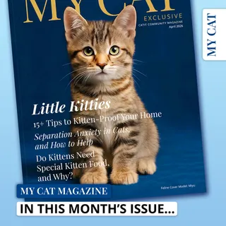 Kittens, kittens, kittens!

Get ready for cuteness overload, the April issue of My Cat Magazine is here!

As you may have guessed, this issue is all about adopting a new kitten. 🐱

Head to the link 🔗 
