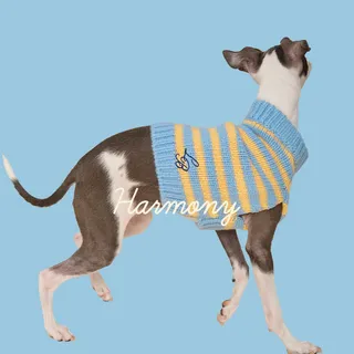 manifest peace and harmony🦋