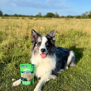 After a long winter indoors, it’s time to soak up the sunshine with your pup! 🌞

Whether it’s a snifari on new trails, a long walk in the park, or a playful garden picnic, every moment is better with 