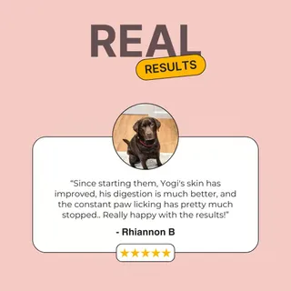 ✨ Real Results, Real Relief ✨
Yogi’s skin has improved, digestion is better, and the constant paw licking? Gone.
💛 “Really happy with the results!” – Rhiannon B
🐾 Natural, vet-formulated support for h