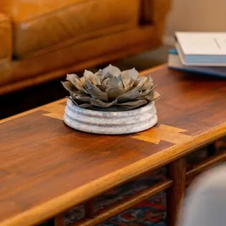 No more wondering if it will work 🌵👀
Place it in your space, see it in real time, and design with total confidence.