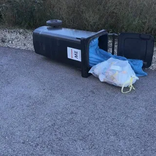 Wind, Sturm, umgefallene Mülltonnen – Chaos pur.
Mit den BIO Stefan Mülltonnenboxen bleibt alles sicher an seinem Platz.
Stabil, wetterfest und ein echtes Upgrade für dein Zuhause.
👉 Jetzt deine Box b