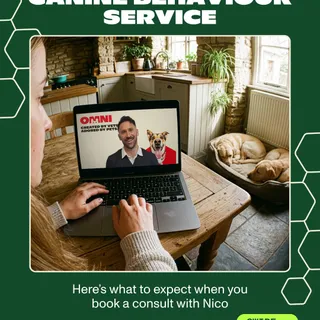 Have you heard about our amazing behaviour service? If your dog is having issues like noise phobias, reactivity or anxiety, our #Omni behaviourist Nico is here to help!⁠
⁠
Book your free consult now -