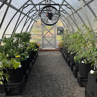 As we transition from winter protection to spring growth, ventilation becomes your top priority. Stagnant, humid air is the enemy of young seedlings. That’s where a Shutter Fan becomes a game-changer 