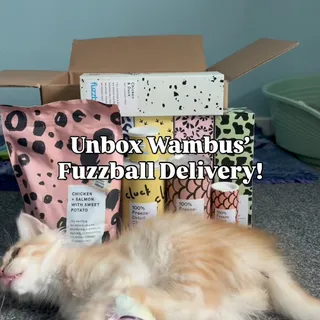 Wambus is now officially a Brand Ambassador for @fuzzball.club!🐱
You can order a trial box now with 25% off using my code | rc-refer.com/olivia-i2c8y8, this is also in the linktree in my bio to easily