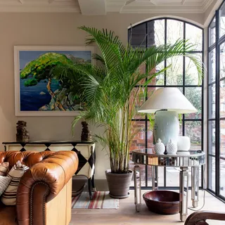 Bring your space to life.
More texture, more life, more detail.
Find a plant that complements your style and shop the collection today.