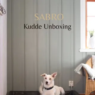 Das Beste kommt zum Schluss... oder direkt nach dem Auspacken! 😍📦

Es gibt kaum etwas Schöneres, als zuzusehen, wie aus einem Paket pures Hundeglück wird. Das KUDDE Unboxing zeigt es perfekt:
1️⃣ Ausp