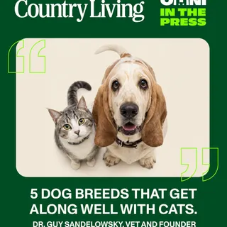 Omni in Country Living 🐾📚⁠
⁠
We loved seeing our founder Guy quoted in @countrylivinguk - sharing that while no breed can be guaranteed to get along with cats, some dogs do have traits that can make a