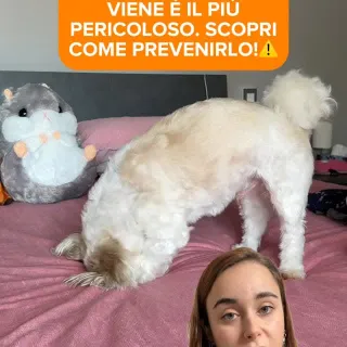 📌 SALVA IL VIDEO📌

Il prurito che compare e scompare è quello che inganna di più 🐾

Perché non sembra mai abbastanza grave.

Ma proprio per questo viene ignorato.
E spesso peggiora nel tempo.

Il corp