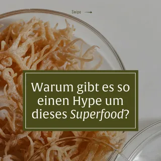 Warum wird dieses Superfood so gehypt? 👀🌿⁠
⁠
In den USA ist Irish Sea Moss schon lange ein fester Bestandteil vieler Glow-Up-Routinen. In Deutschland kennen es bisher noch wenige, dabei steckt einiges