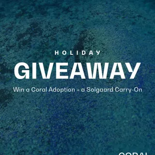 ***GIVEAWAY CLOSED***

We’ve teamed up with Solgaard to give one winner two incredible prizes:

• One Solgaard Carry-On Closet Lite, made with recycled ocean-bound plastic and featuring their signatur