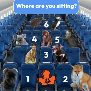 Personally, I'm going with seat number 1🙊⁠
⁠
#IECVoyagez #workingholidays #travelabroad