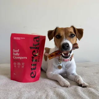 Need a bit of peace and quiet the long weekend? Bully Chompers are the best long lasting chew 🐾