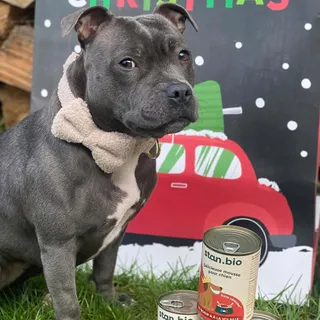 Unike a été gâtée par @stan.bio pour noël 🎅🎄avec la délicieuse mousse au bœuf & à la volaille.

Stan. Bio propose pour nos loulous 🐶:

🥗 Une nutrition équilibrée, saine et naturelle
🇫🇷 Une production 