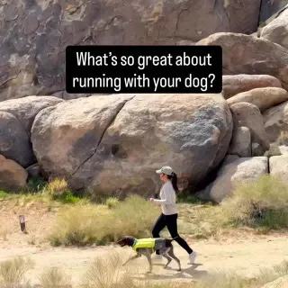 Raise your hand if your dog is your favorite running buddy! 🙋🐾