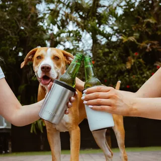 Man’s best friend. Beer’s best mate 🐾🍺
