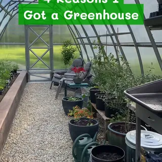 From homegrown greens to peaceful morning escapes, Planta Greenhouses change everything. It extends your season and lets you grow varieties you never thought possible! 🌿✨

#greenhouse #gardening #grow