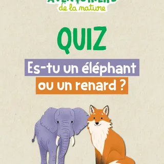 Aujourd'hui on part en mission avec vous… une mission très très importante.

On cherche à découvrir quel animal se cache en vous ! 🕵️
Est-ce que vous êtes plutôt un Éléphant 🐘 ? Ou plutôt Renard 🦊 ? 
