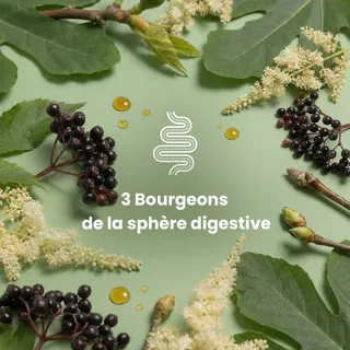 Prendre soin de sa digestion, c’est prendre soin de son équilibre global.

Ballonnements, inconfort digestif, transit perturbé… Ces petits signaux sont souvent le reflet d’un système digestif qui a be