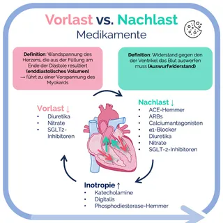 Welche Wirkstoffe kennst du zur Reduktion der Vorlast?

🫀 Kardiologie verstehen!
🚀 Jetzt das umfassende Kardio-Skript downloaden und direkt loslegen.
👉 Mehr Infos unter www.medi-know.org. 🤩 🩺

#Medizi