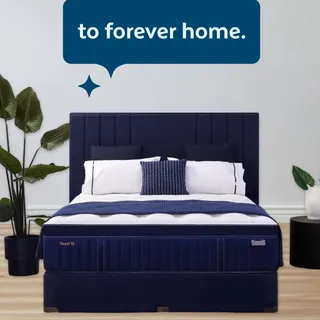 From flatting with mismatched sheets… To building a space that feels like yours. We’re here to help any stage 💙

#bedsrus #bedsrusnz #sleepmap #bedroominspiration #bed #bedcover #bedroominspo #bedshee