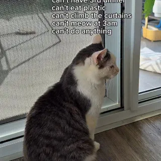 Apparently we’re the problem 😹