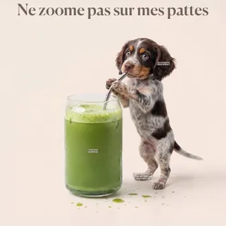 Taguez la personne que vous voulez pour qu'elle vous invite à un matcha 🍵✨ #matcha #matchaandco #matchamood
