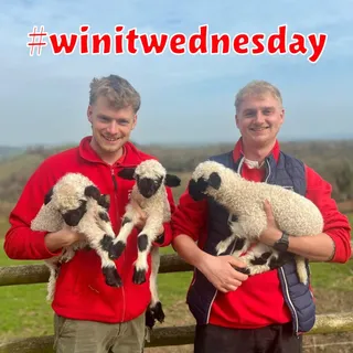 🐑✨ WE NEED YOUR HELP! ✨🐑

Our adorable newborn lambs need names! 😍💛
We’ve got 2 girls and 1 boy waiting for the perfect names – can you help? 🐑🐑🐑

To celebrate our upcoming Easter Egg-stravaganza (3rd