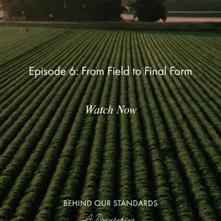 Episode 6: From Field to Final Form

Lemon balm thrives when treated gently.

Grown by experts who understand the rhythm of the land, it is harvested with precision and dried carefully to protect its 