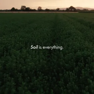 SOIL IS EVERYTHING | Research continues to show that soil health influences nutrient density and phytochemical complexity. When soil is cared for, plants thrive — and that integrity carries through in