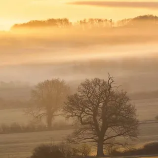 Incredible morning mist round Harewood 🌫⁠
⁠
-  @matt_j_butler⁠
⁠
#Yorkshire #YorkshirePrintCompany #NaturePhotography #BritishCountryside #RuralBritain #Harewood