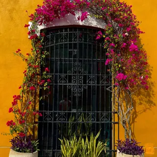 Spring in Mexico arrives in color, in warmth, in a way of life that feels deeply rooted 🌸

What surrounds you becomes a source of inspiration, something we carry into every detail so you can bring tha