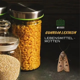 Lebensmittelmotten in der Küche entdeckt? 🦋
Die kleinen Motten legen ihre Eier in trockenen Lebensmitteln wie Mehl, Reis, Nüssen oder Müsli ab. Besonders ihre Larven können Vorräte schnell befallen. W