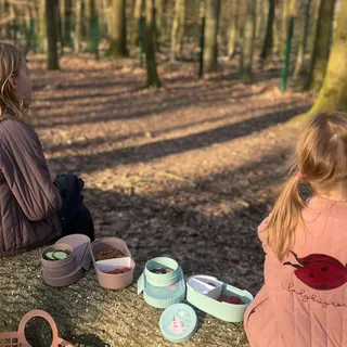 Anzeige

Kaum ist die Sonne wieder da 🌞
…hält uns nichts mehr drinnen 🌿💛

Und was haben wir immer mit dabei? 😄

Ob im Wald, beim Spaziergang, auf dem Spielplatz, im Park oder im Zoo 🦩
– unsere treuen 
